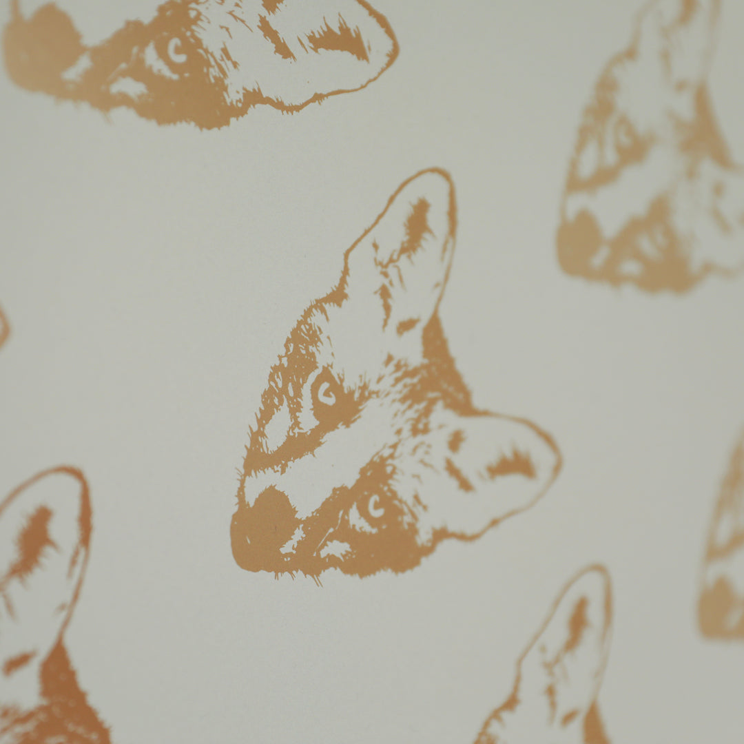 The Fox
